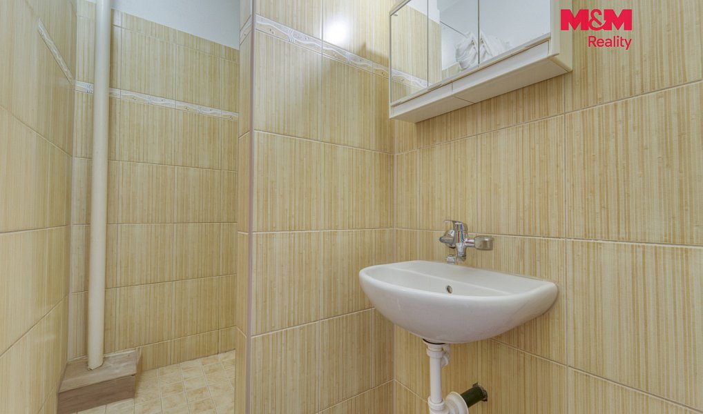 Pronájem bytu 1+1 34 m², Plzeň – náhled fotky 10