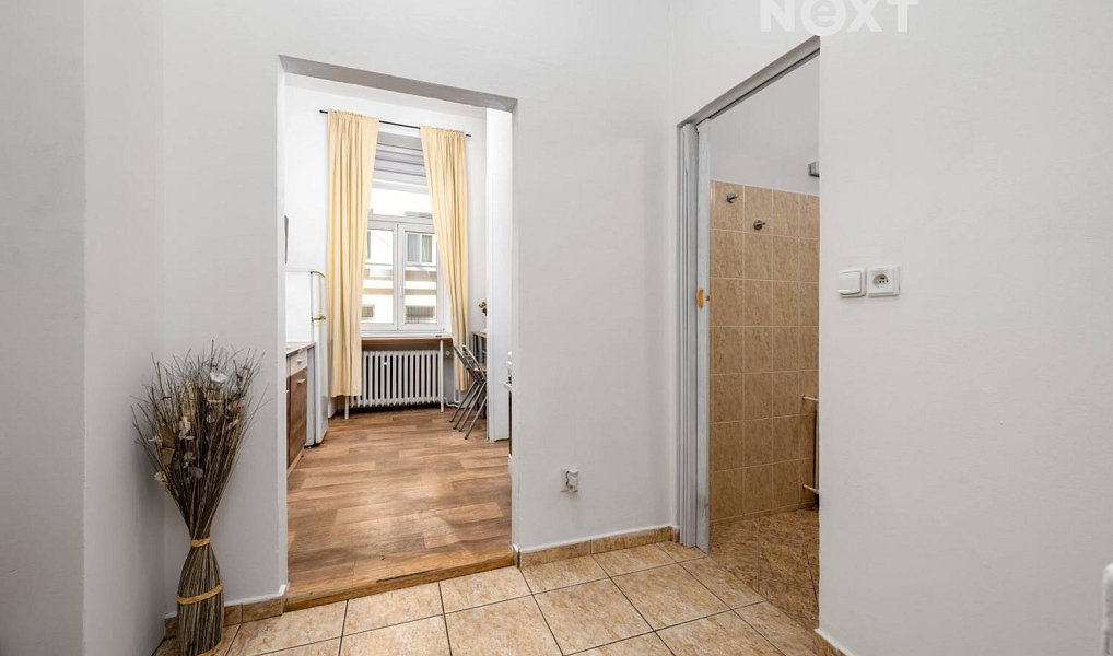 Prodej bytu 1+1 37 m², Praha – náhled fotky 13