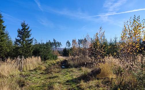 Prodej lesa 5 521 m², Mladá Vožice - Stará Vožice, okres Tábor