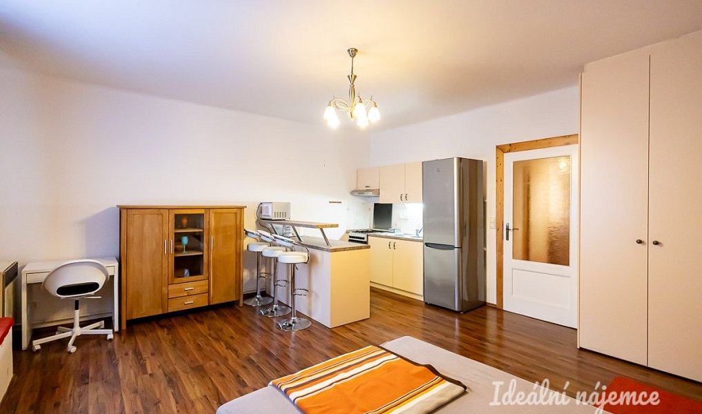 Pronájem bytu 1+kk 38 m², Praha – náhled fotky 6