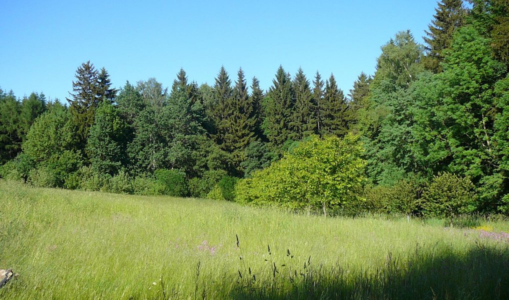 Prodej domu 1 000 m² s pozemkem 133 323 m², Štoky – náhled fotky 6