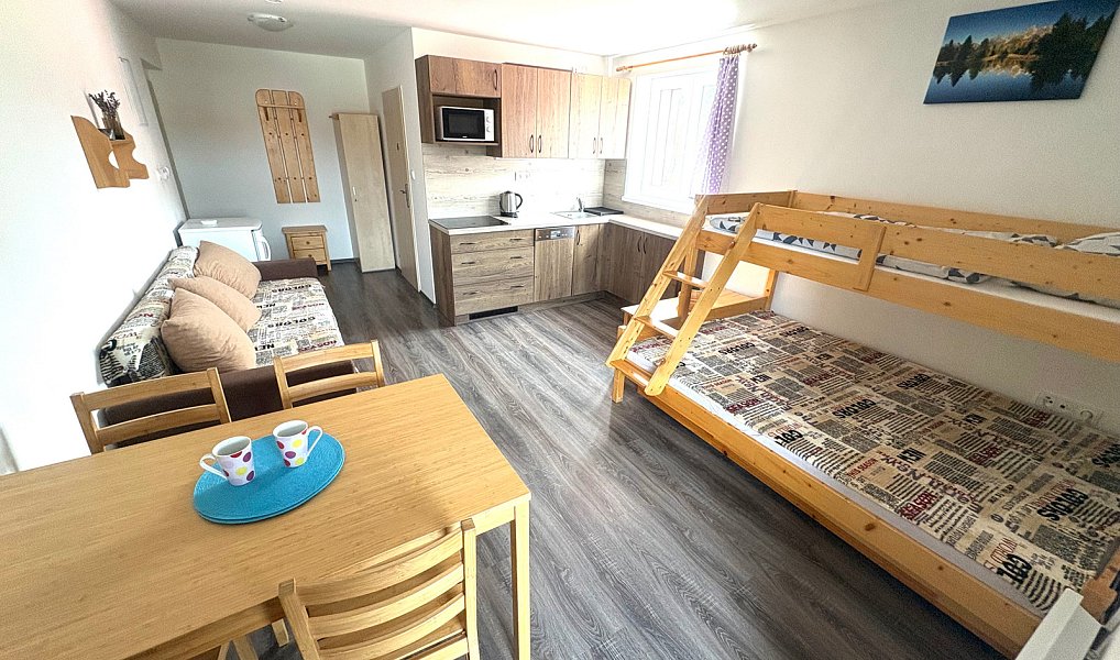 Prodej bytu 1+kk 26 m², Nová Pec – náhled fotky 3