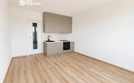 Pronájem bytu 1+kk 38 m²
