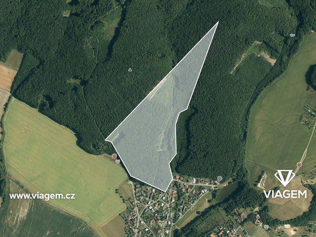Prodej lesa 5 483 m² – fotografie 3