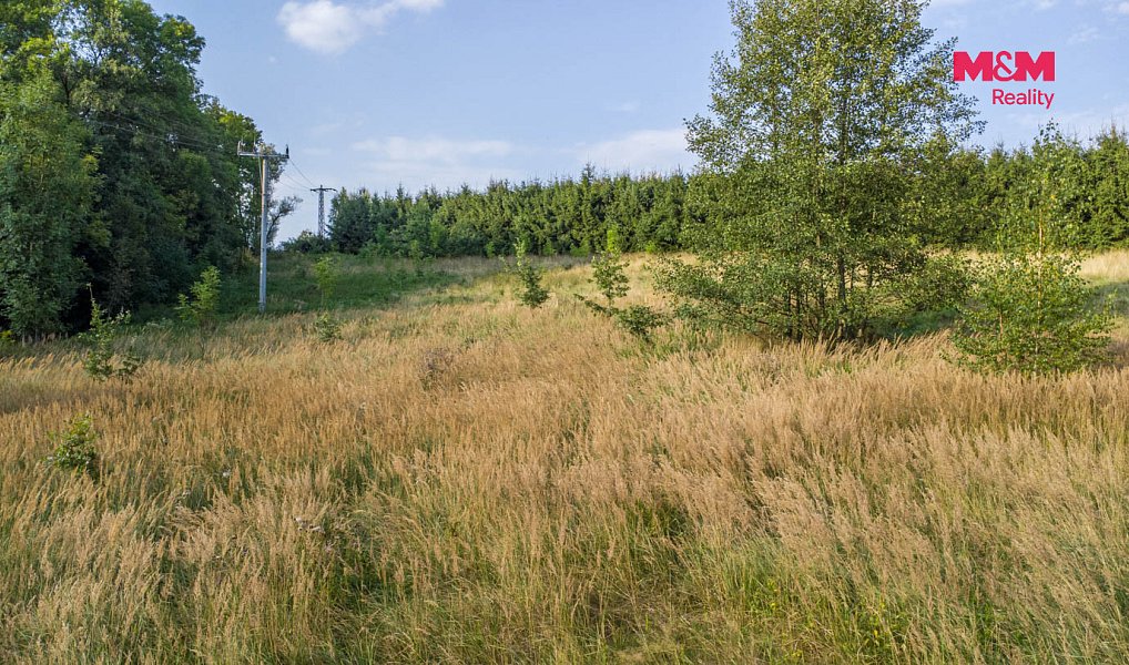 Prodej louky 5 500 m², Nový Bor – náhled fotky 5