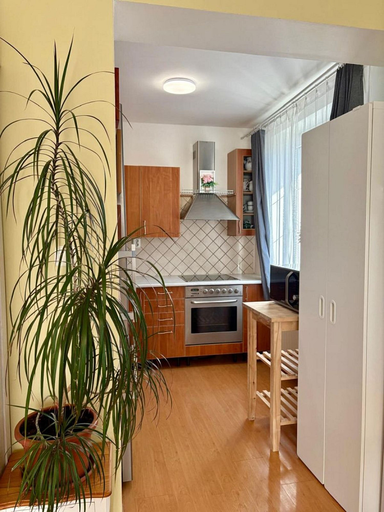Prodej bytu 2+kk 61 m² — photo 5