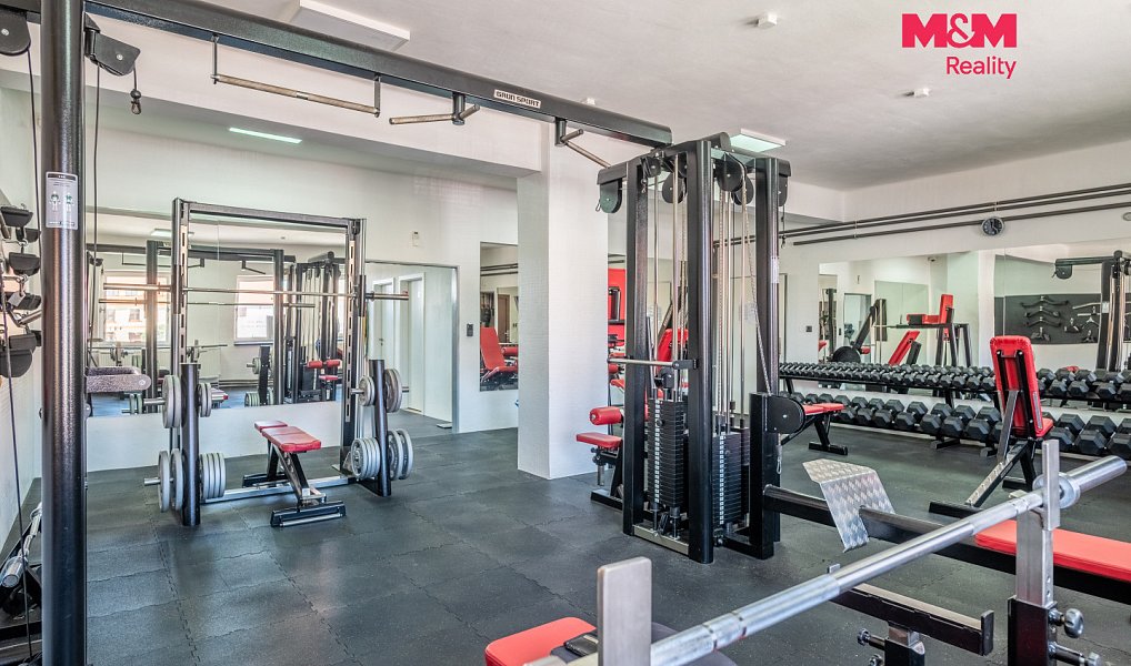 Prodej obchodních prostor 340 m², Bavorov – náhled fotky 8