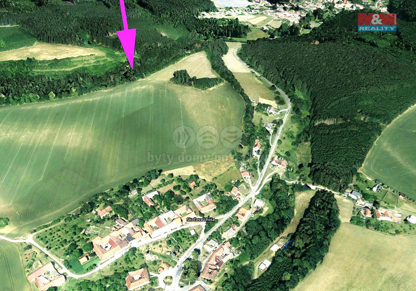 Prodej lesa 9 123 m²