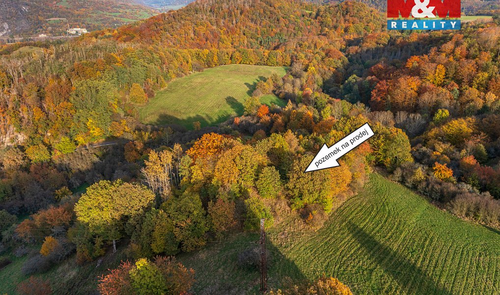 Prodej louky 14 398 m², Ústí nad Labem – náhled fotky 3