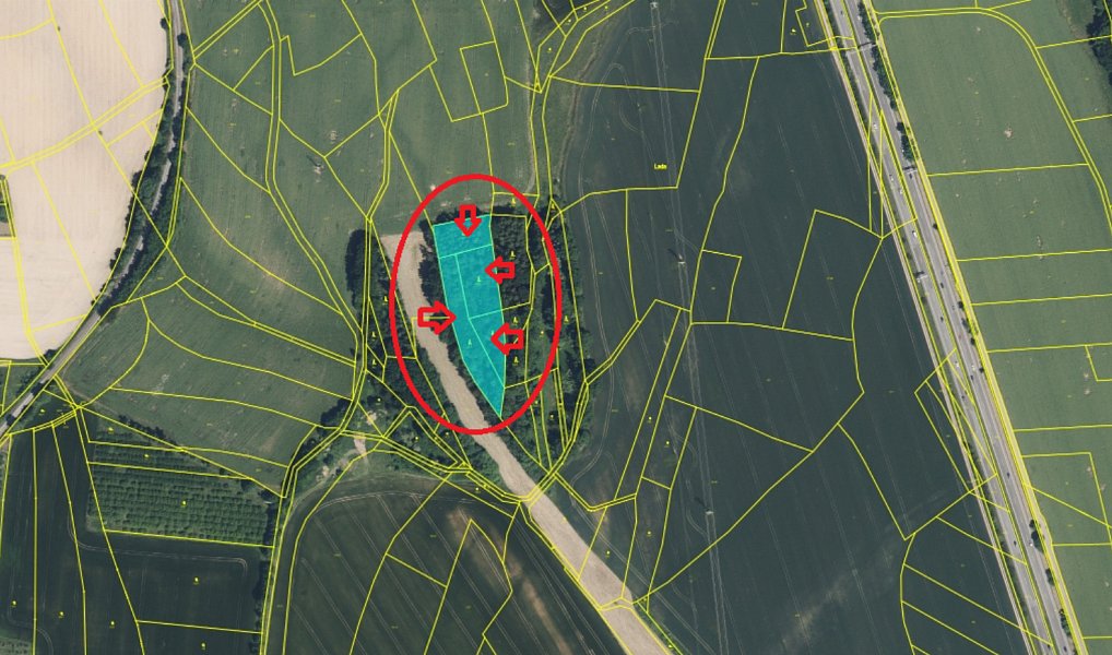 Prodej lesa 7 152 m², Lažany – náhled fotky 13
