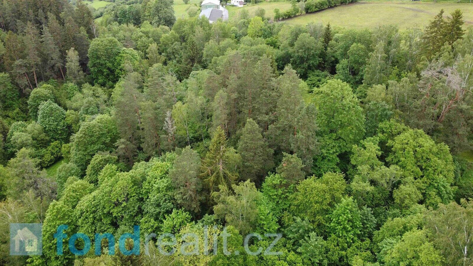Prodej pozemku 4 999 m² – fotografie 2