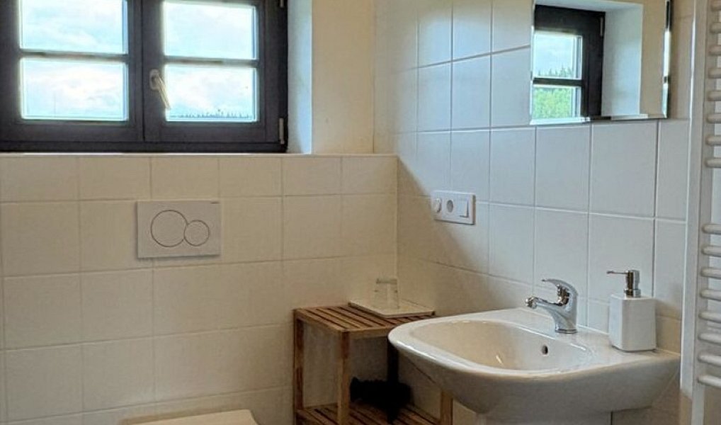Prodej domu 239 m² s pozemkem 2 125 m², Srní – náhled fotky 10