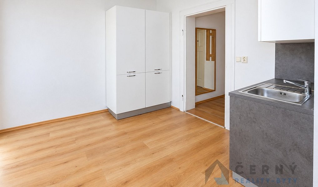 Pronájem bytu 2+1 60 m², Liberec – náhled fotky 4
