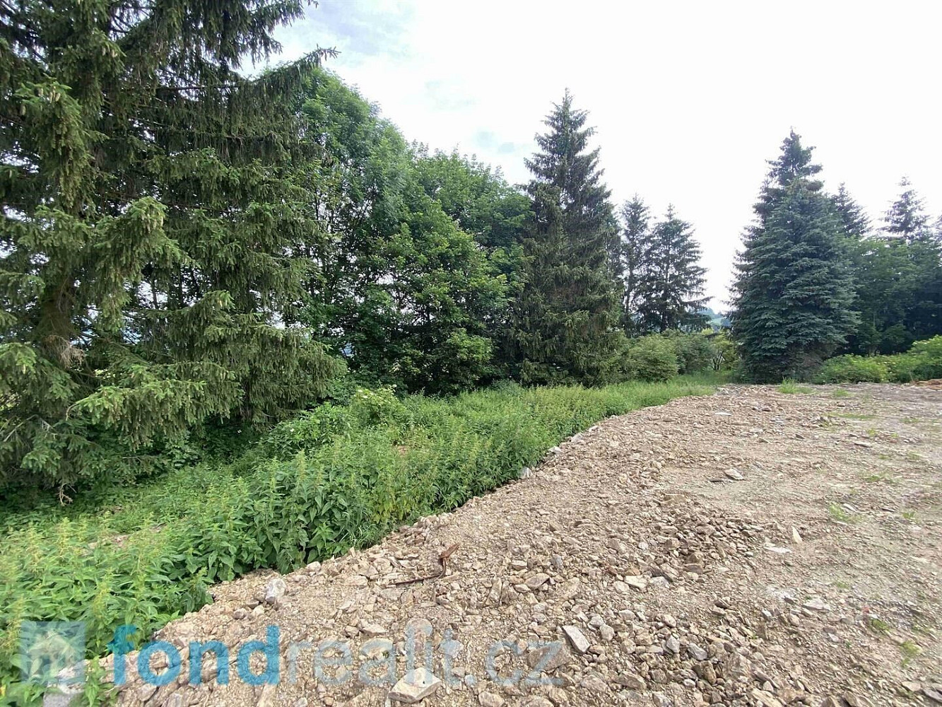 Prodej pozemku 5 491 m² – fotografie 4