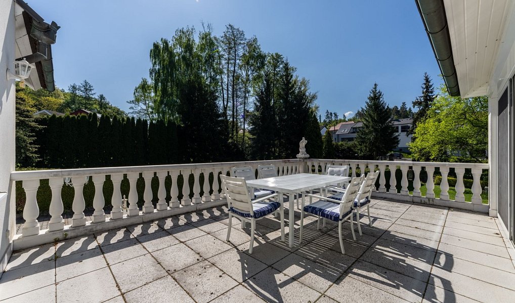 Prodej domu 289 m² s pozemkem 3 375 m², Družec – náhled fotky 12