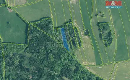Prodej lesa 5 564 m², Skály, okres Písek