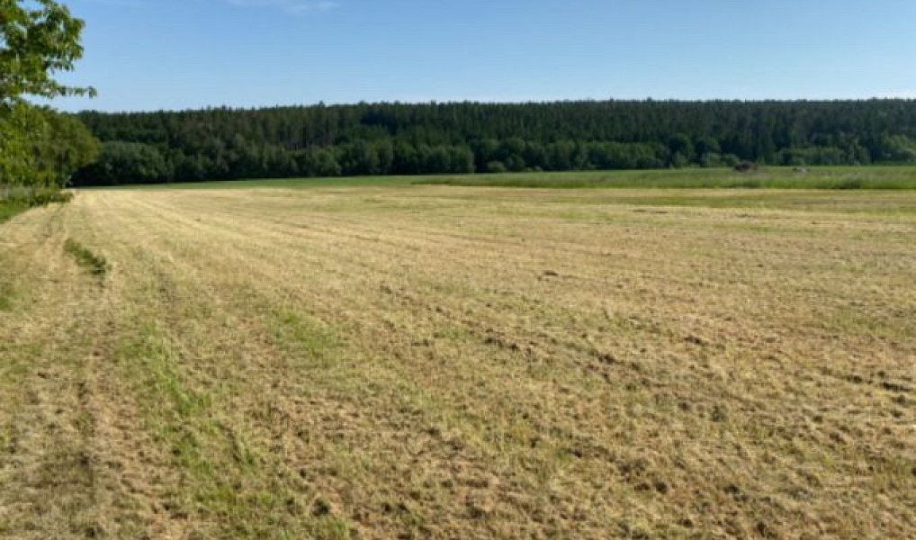 Prodej stavebního pozemku 8 669 m², Zbizuby – náhled fotky 12