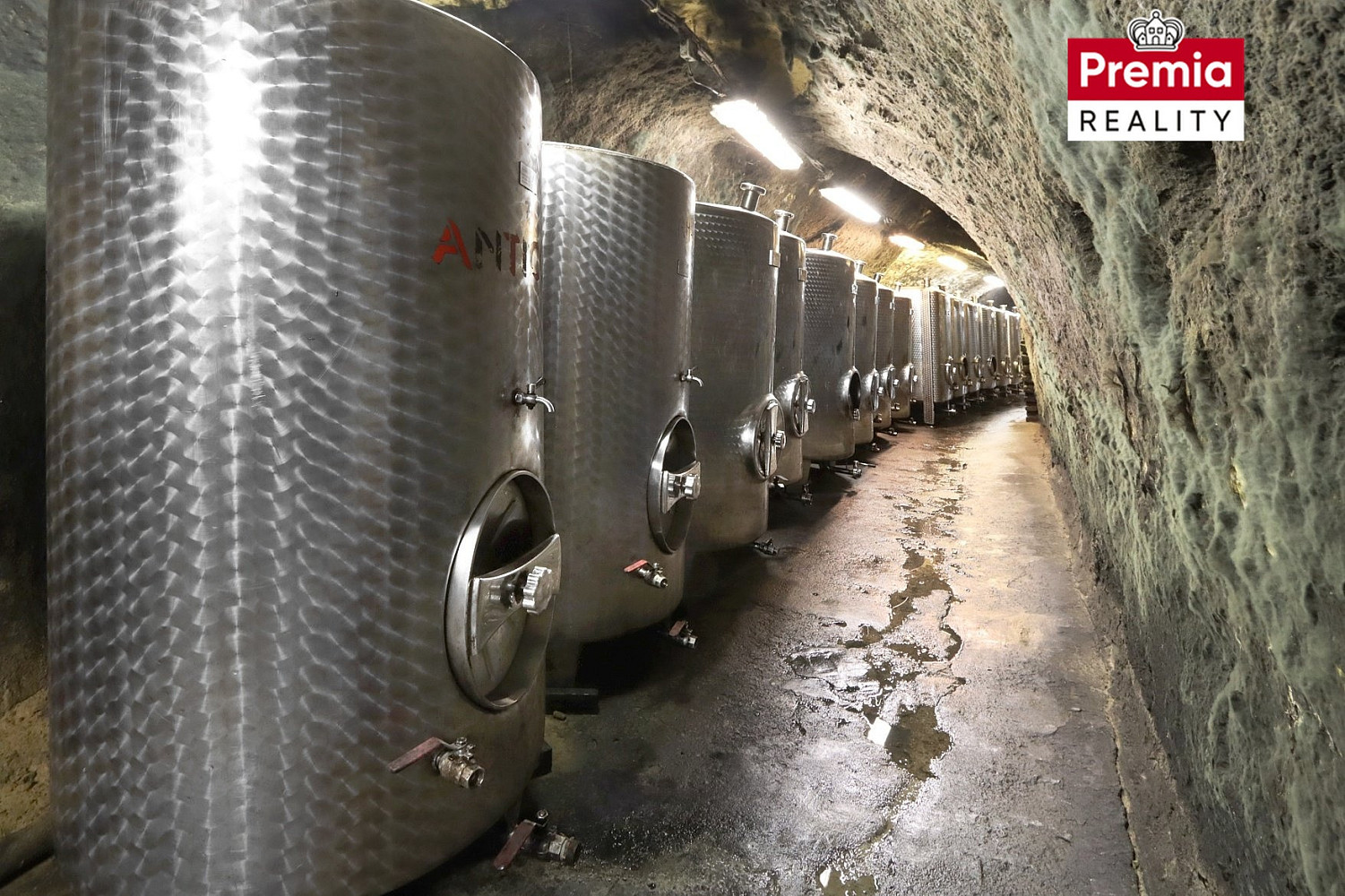 Vinařský areál modrý sklep na prodej — photo 4