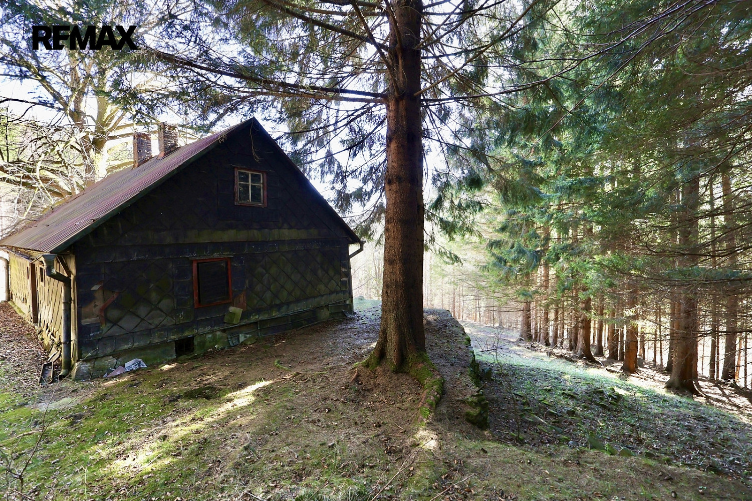 Prodej stavebního pozemku 7 880 m² — photo 4