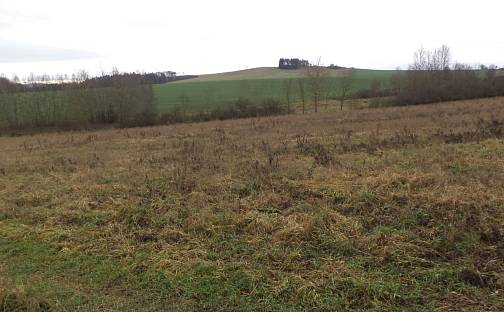 Prodej pozemku 1 445 m², Srby, okres Plzeň-Jih