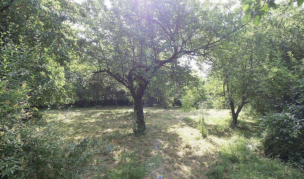 Prodej domu 100 m² s pozemkem 2 233 m², Kaliště – náhled fotky 6
