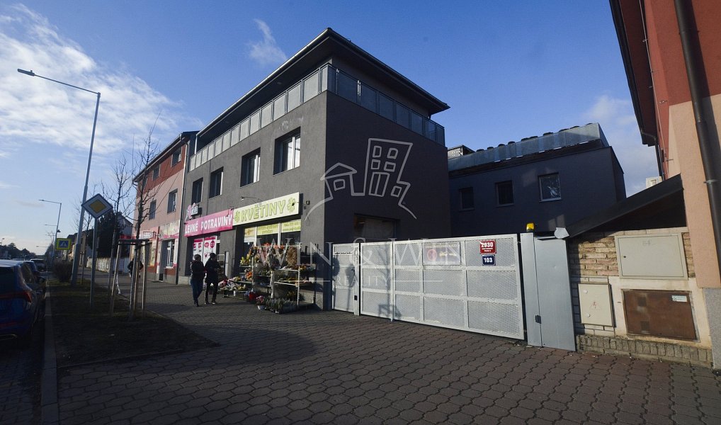 Pronájem bytu 4+kk 124 m², Praha – náhled fotky 13