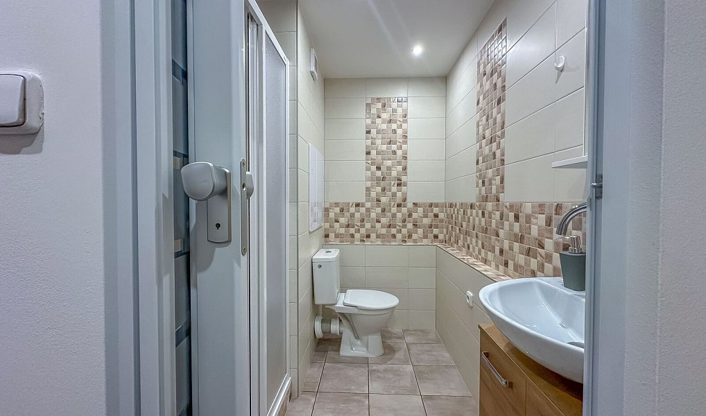 Pronájem bytu 1+kk 27 m², Horní Bříza – náhled fotky 3