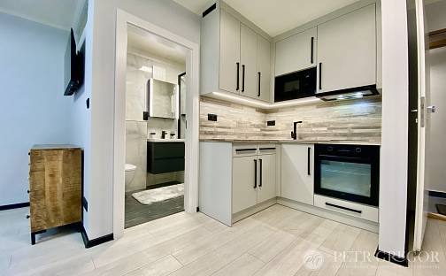 Pronájem bytu 1+kk 30 m², Studentská, Poděbrady - Poděbrady II, okres Nymburk