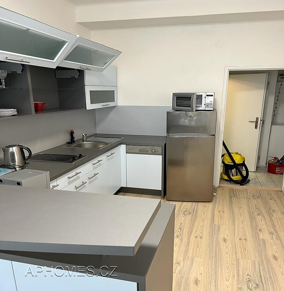 Pronájem bytu 2+kk 46 m²