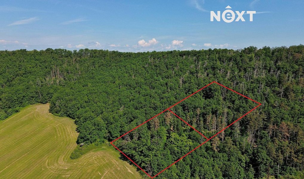 Prodej lesa 3 149 m², Chrustenice – náhled fotky 6