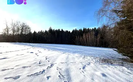 Prodej lesa 43 856 m², Žďár nad Sázavou