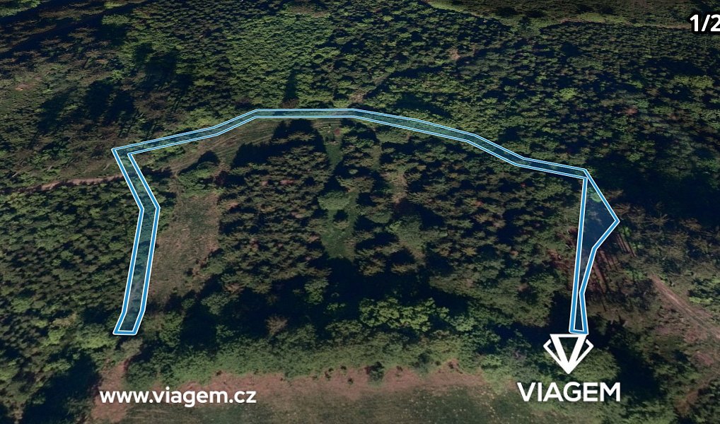 Prodej lesa 4 836 m², Hrčava – náhled fotky 2