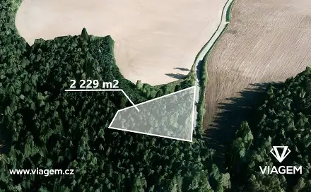 Prodej lesa 1 114 m², Manětín, okres Plzeň-sever