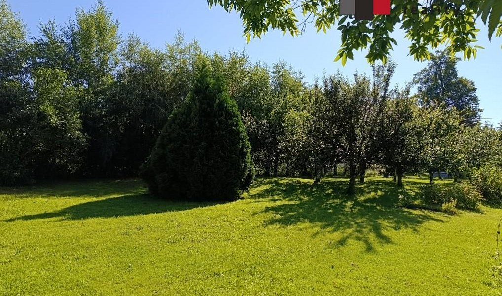Prodej domu 170 m² s pozemkem 2 841 m², Město Albrechtice – náhled fotky 5