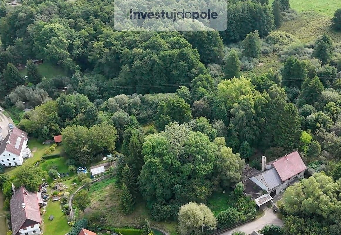Prodej louky 21 884 m² – fotografie 5