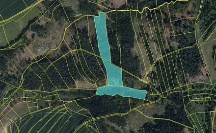 Prodej lesa 19 133 m², Koberovice - Lohenice, okres Pelhřimov
