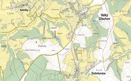 Dražba lesa 5 461 m², Velký Ořechov