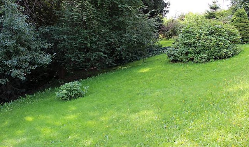 Prodej stavebního pozemku 2 705 m², Náchod – náhled fotky 18