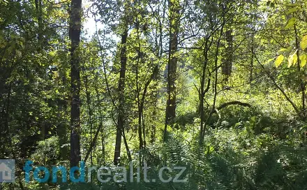 Prodej pole 10 225 m², Roztoky u Semil, okres Semily
