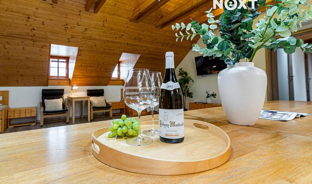 Prodej domu 538 m² s pozemkem 269 m², Rakovník – náhled fotky 14