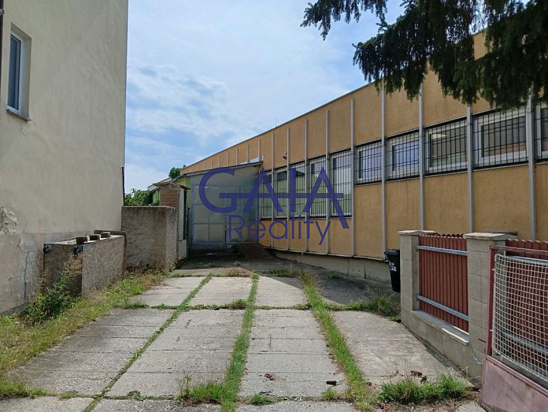 Fotka 18 z 21