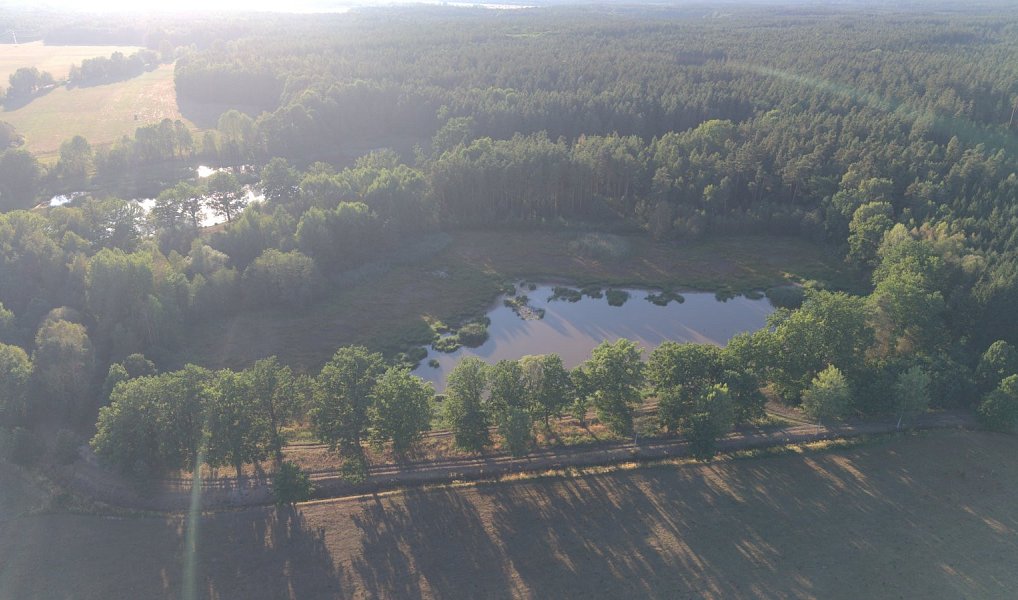 Prodej domu 75 m² s pozemkem 4 810 m², Suchdol nad Lužnicí – náhled fotky 18