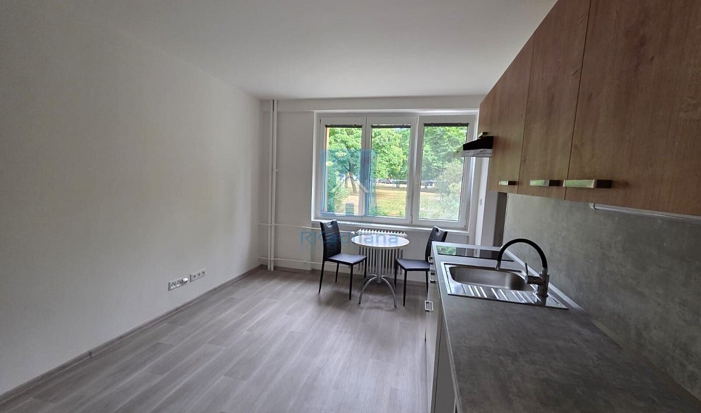 Pronájem bytu 1+kk 25 m², Plzeň – náhled fotky 3