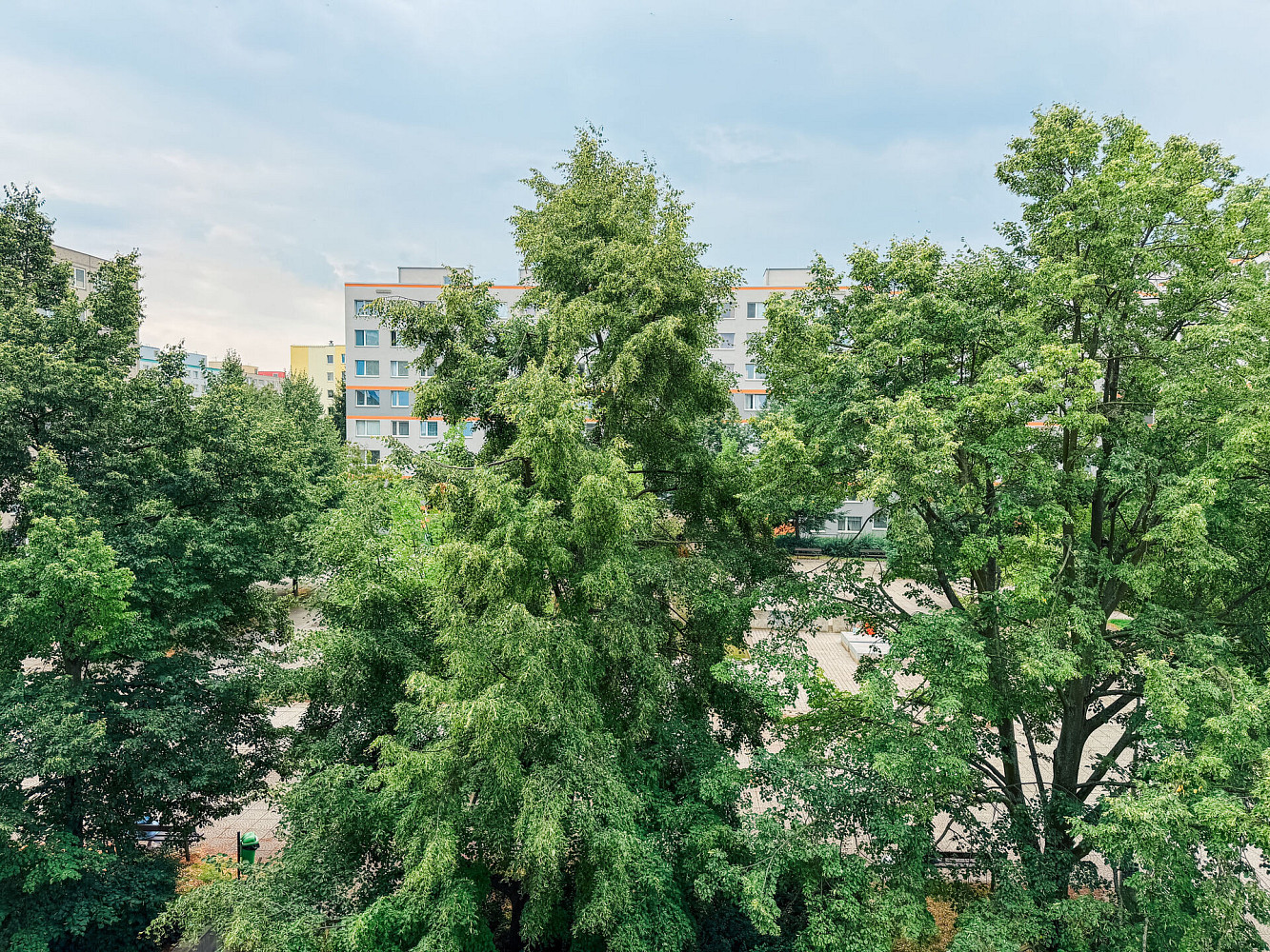 Pronájem bytu 3+1 80 m² – fotografie 4
