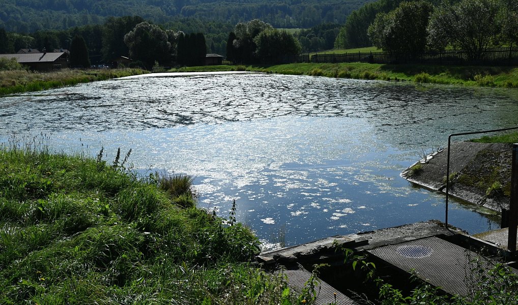 Prodej komerčního objektu (jiného typu) 5 700 m², Lomnice – náhled fotky 29