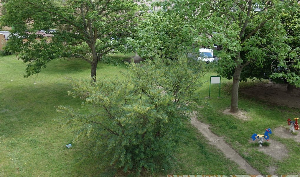 Pronájem bytu 2+1 53 m², Plzeň – náhled fotky 16