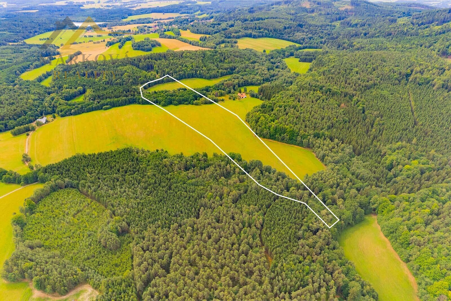Prodej louky 98 591 m²
