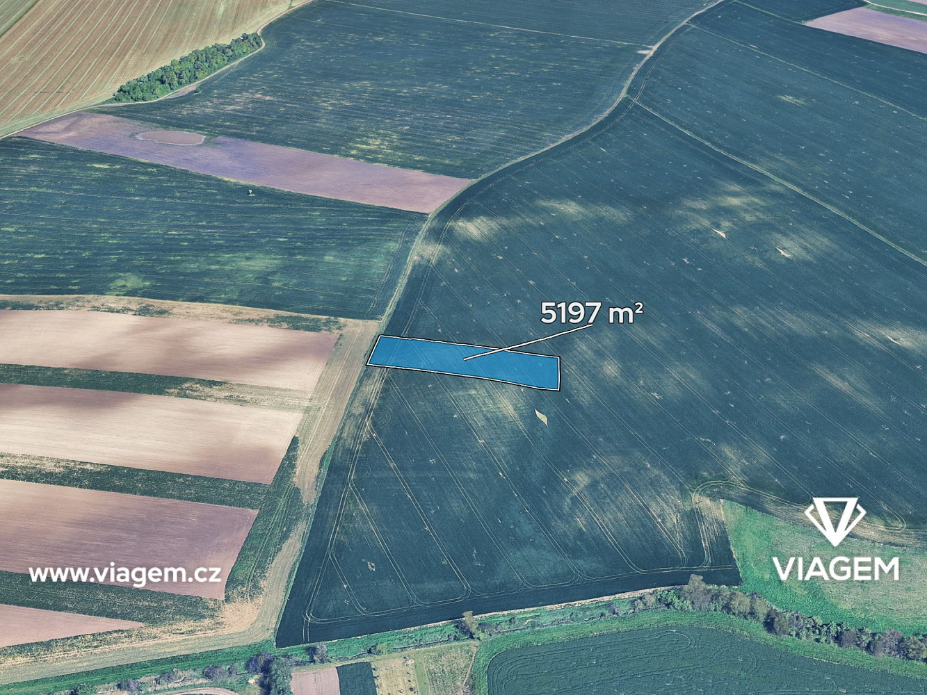 Prodej pole 1 732 m²