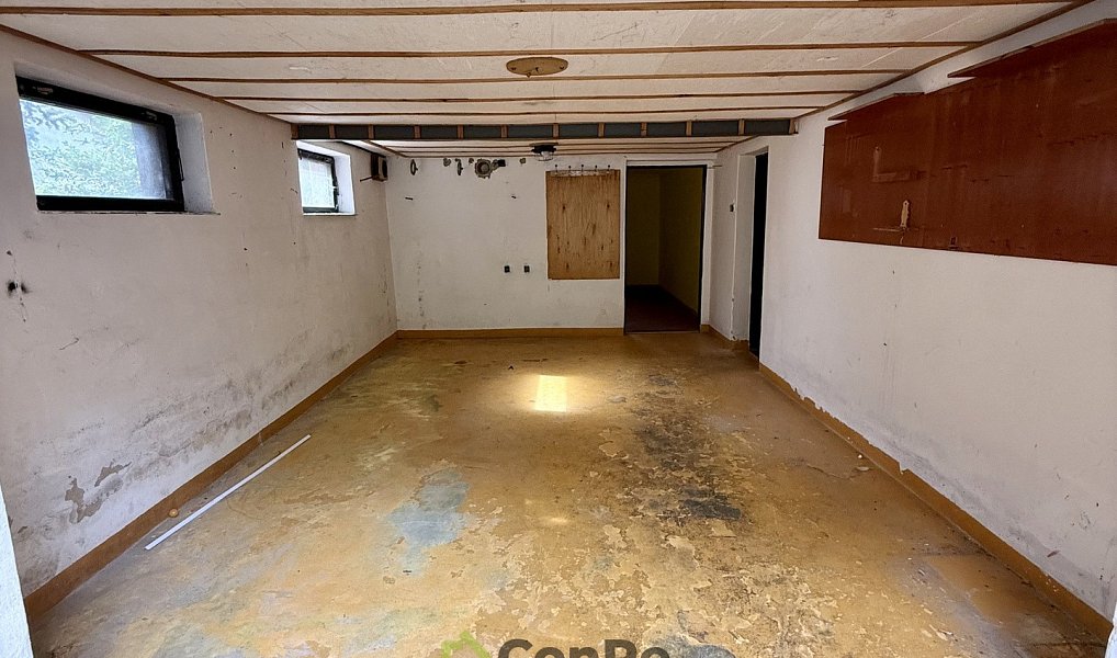 Prodej domu 297 m² s pozemkem 2 452 m², Provodín – náhled fotky 20