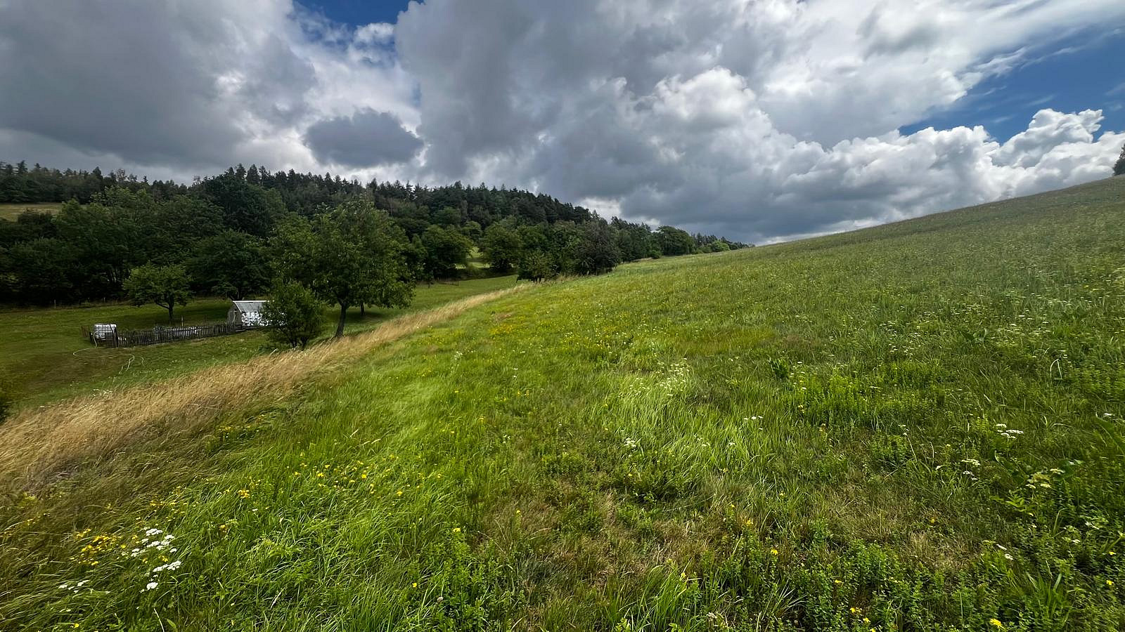 Prodej stavebního pozemku 6 000 m² – fotografie 4